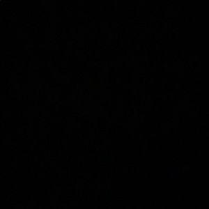 Meet your Posher, Johnica